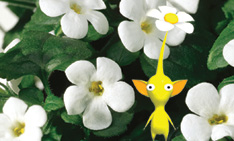 Pikmin Flower